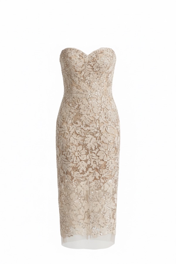 Lace Sequin Strapless Dress in Nude